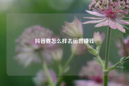 抖音要怎么样去运营赚钱