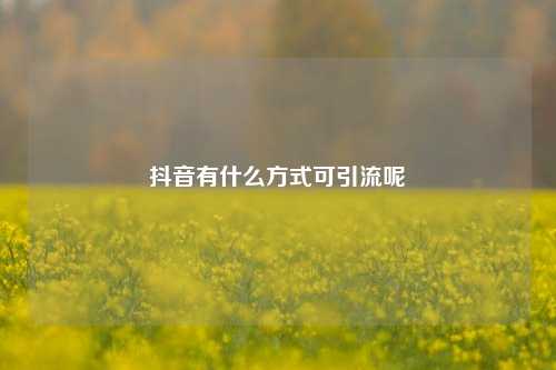 抖音有什么方式可引流呢