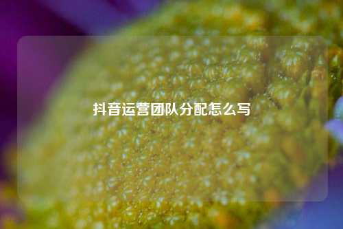 抖音运营团队分配怎么写