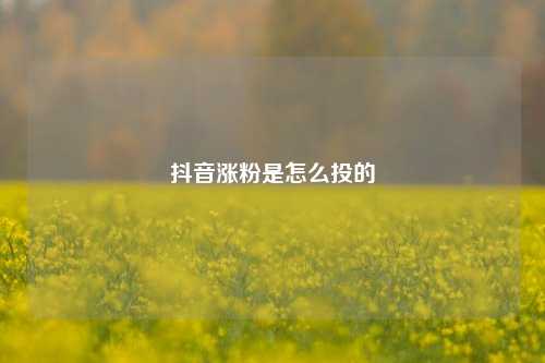 抖音涨粉是怎么投的