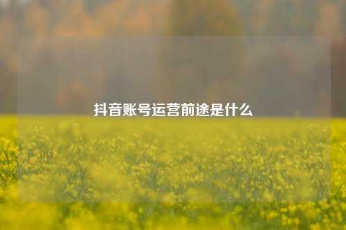 抖音账号运营前途是什么