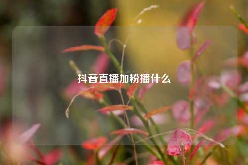 抖音直播加粉播什么