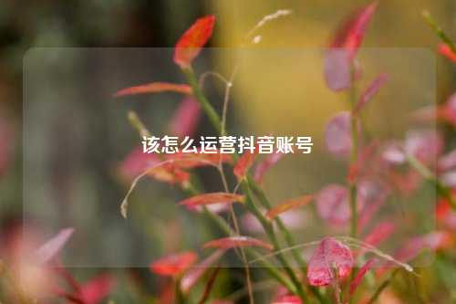 该怎么运营抖音账号