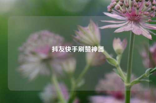 抖友快手刷赞神器