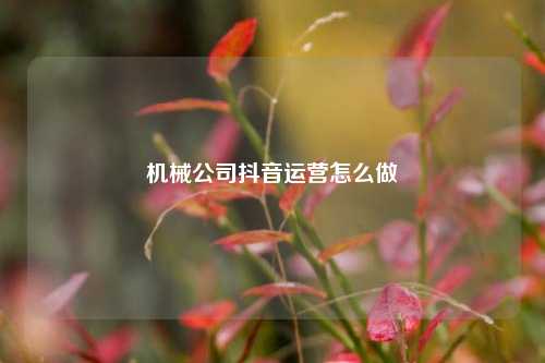 机械公司抖音运营怎么做