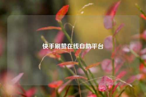快手刷赞在线自助平台