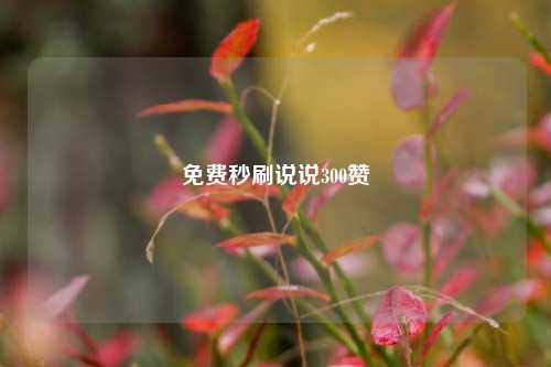 免费秒刷说说300赞