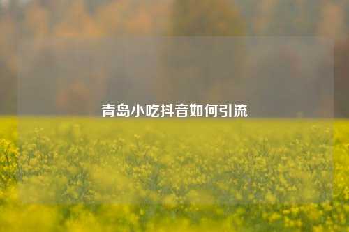青岛小吃抖音如何引流