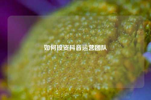 如何投资抖音运营团队