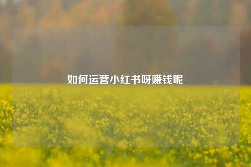 如何运营小红书呀赚钱呢