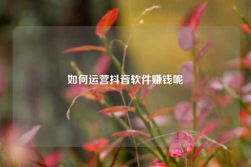 如何运营抖音软件赚钱呢