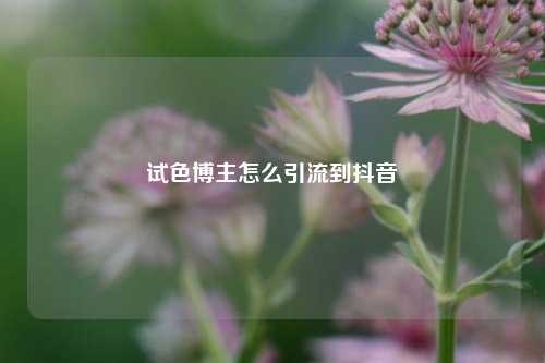 试色博主怎么引流到抖音