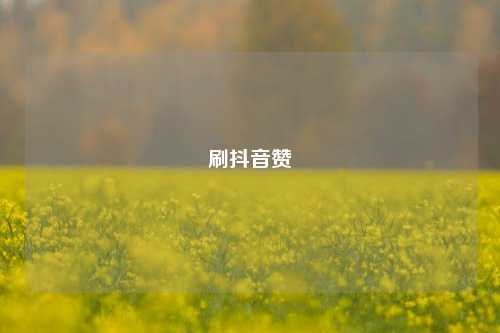 刷抖音赞