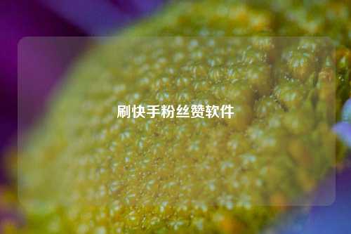 刷快手粉丝赞软件
