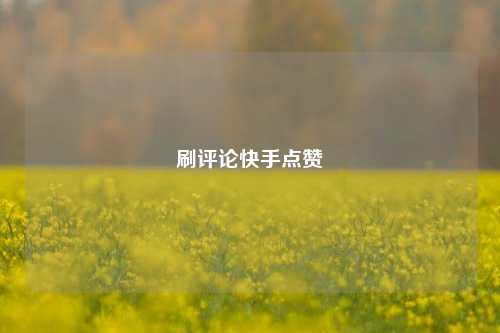 刷评论快手点赞