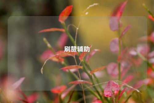 刷赞辅助