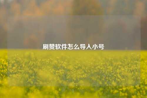 刷赞软件怎么导入小号